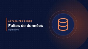 Actualités cyber : Fuites de données